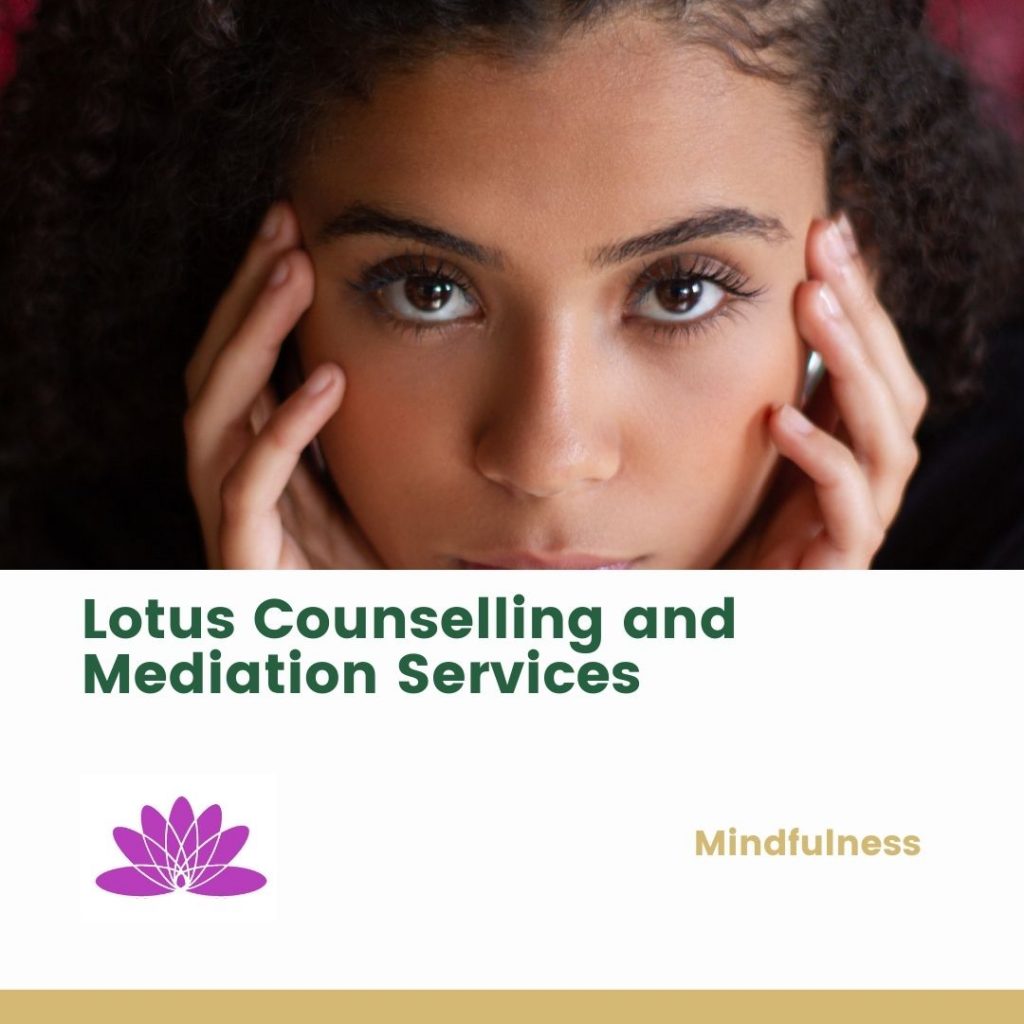 Lotuscounselling mindfulness